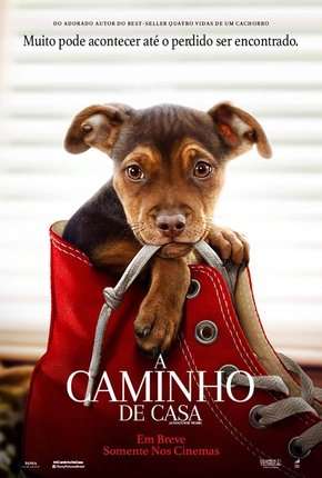 Capa para download torrent de Filme A Caminho de Casa - Legendado