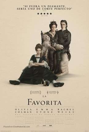 Capa para download torrent de Filme A Favorita