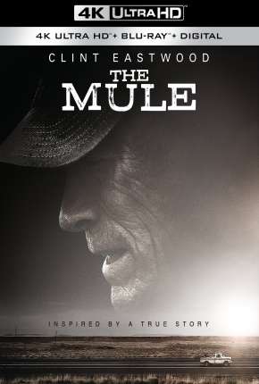 Capa para download torrent de Filme A Mula 4K