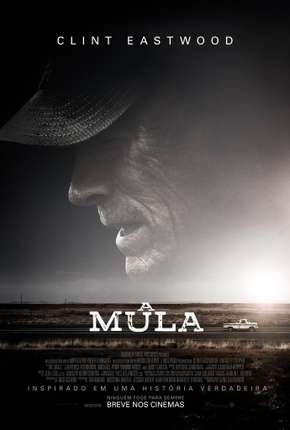 Capa para download torrent de Filme A Mula