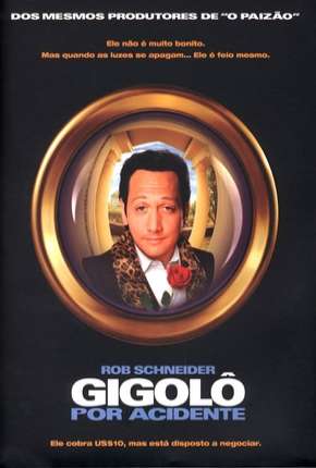Capa para download torrent de Filme Gigolô Por Acidente
