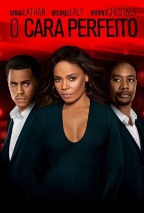 Capa para download torrent de Filme O Cara Perfeito