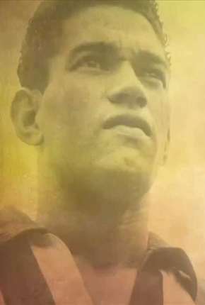 Capa do título semelhante: O Mito de Garrincha