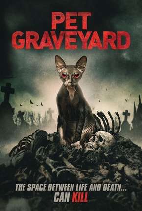 Capa do título semelhante: Pet Graveyard - Legendado