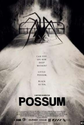 Capa para download torrent de Filme Possum - Legendado