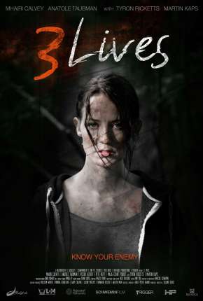 Capa para download torrent de Filme 3 Vidas - Legendado