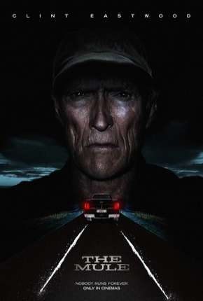 Capa para download torrent de Filme A Mula - DVD-R