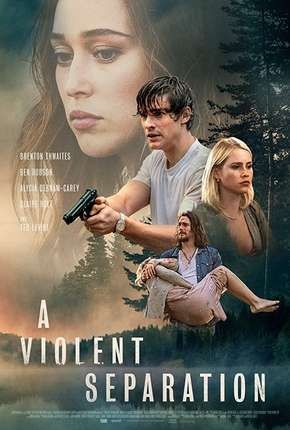 Capa para download torrent de Filme A Violent Separation - Legendado