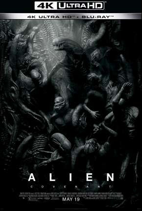 Capa do título semelhante: Alien - Covenant - 4K