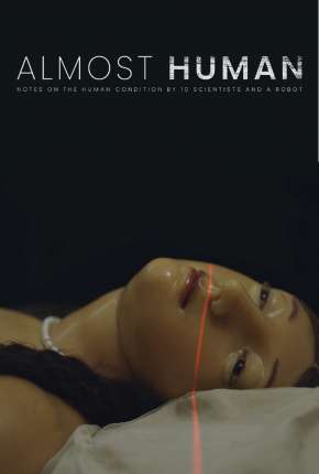 Capa para download torrent de Filme Almost Human  - Legendado