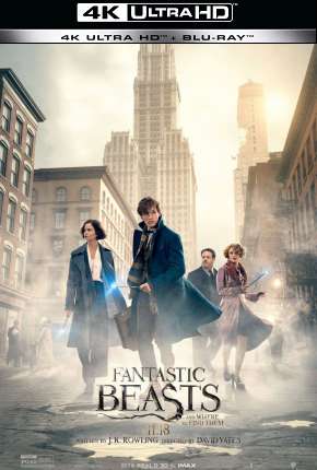 Capa para download torrent de Filme Animais Fantásticos e Onde Habitam - 4K