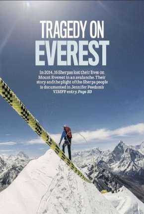Capa para download torrent de Filme Avalanche no Everest - Discovery Channel