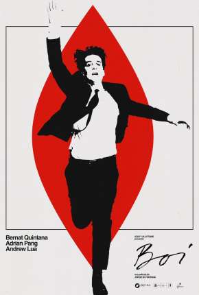 Capa para download torrent de Filme Boi