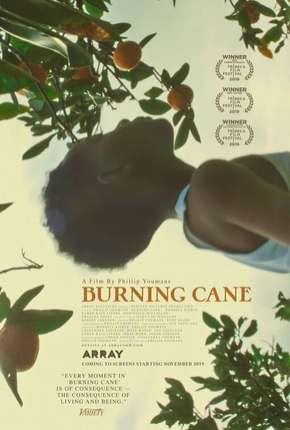 Capa do título semelhante: Burning Cane - Legendado