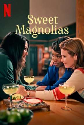 Capa para download torrent de Série Doces Magnólias - 1ª Temporada Completa