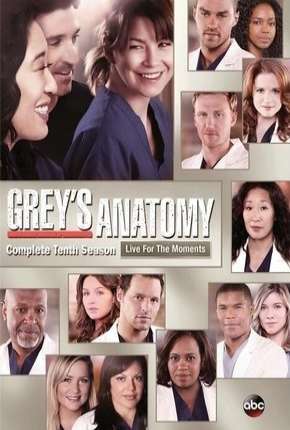 Capa para download torrent de Série Greys Anatomy - 10ª Temporada - Completa
