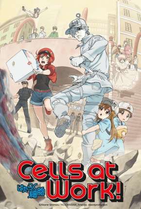 Capa para download torrent de Desenho Hataraku Saibou - Cells at Work