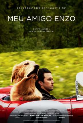 Capa para download torrent de Filme Meu Amigo Enzo
