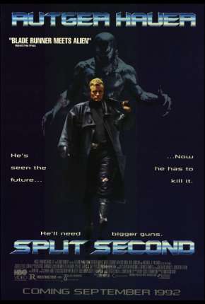 Capa para download torrent de Filme O Destruidor