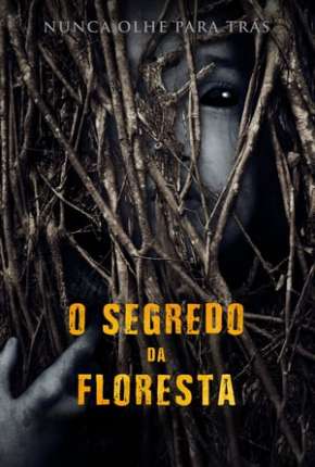 Capa do título semelhante: O Segredo da Floresta - Legendado