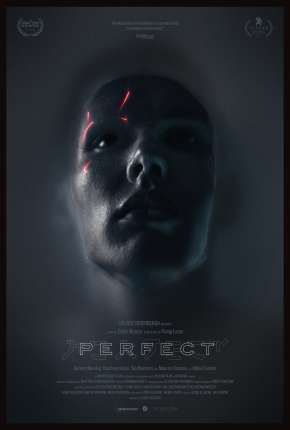Capa para download torrent de Filme Perfect - Legendado