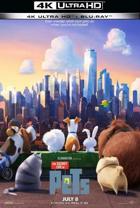 Capa para download torrent de Filme Pets - A Vida Secreta dos Bichos - 4K