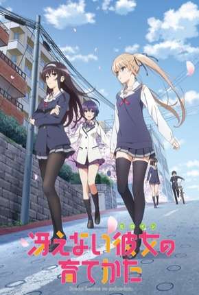 Capa do título semelhante: Saenai Heroine no Sodatekata - Legendado