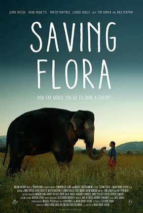 Capa para download torrent de Filme Saving Flora - Legendado
