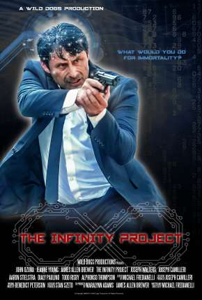 Capa para download torrent de Filme The Infinity Project - Legendado