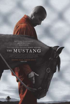 Capa para download torrent de Filme The Mustang