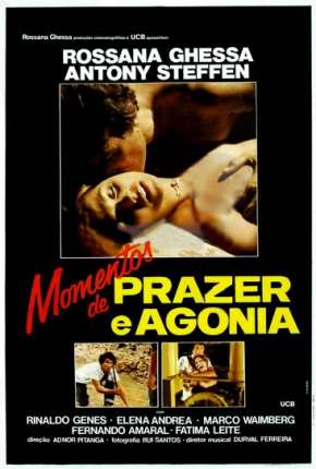 Capa para download torrent de Filme Momentos de Prazer e Agonia