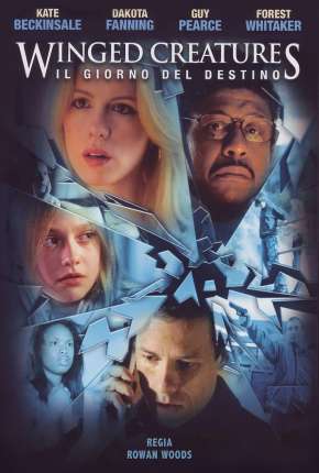 Capa para download torrent de Filme O Efeito da Fúria
