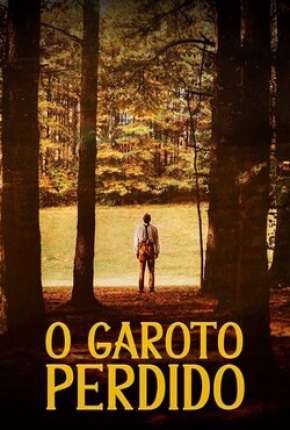 Capa do título semelhante: O Garoto Perdido