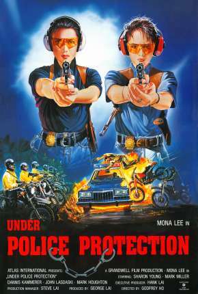 Capa para download torrent de Filme Sob Proteção Policial