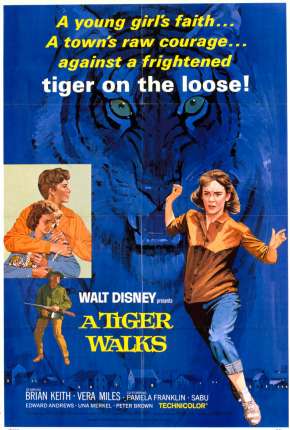 Capa para download torrent de Filme Um Tigre Caminha pela Noite