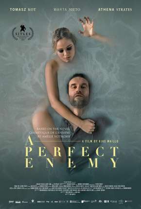 Capa do título semelhante: A Perfect Enemy - Legendado