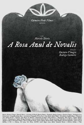 Capa para download torrent de Filme A Rosa Azul de Novalis