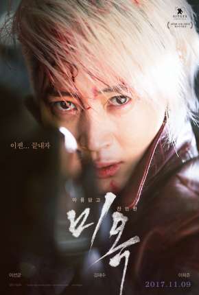 Capa para download torrent de Filme A Special Lady - Legendado