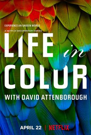Capa para download torrent de Série A Vida em Cores com David Attenborough - 1ª Temporada Completa