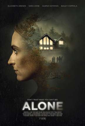 Capa para download torrent de Filme Alone - Legendado