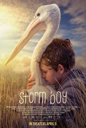 Capa para download torrent de Filme Amigos Para Sempre - Storm Boy