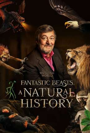 Capa do título semelhante: Animais Fantásticos - Uma História Natural