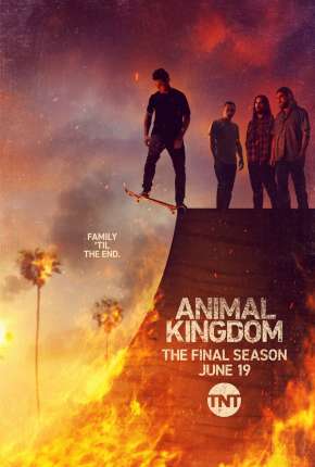 Capa para download torrent de Série Animal Kingdom - 6ª Temporada Legendada