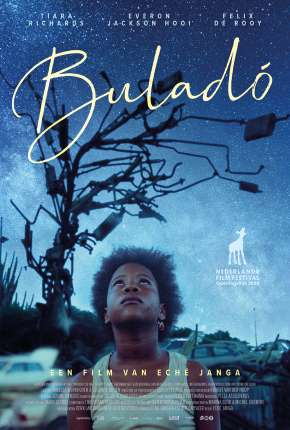 Capa para download torrent de Filme Buladó - Legendado
