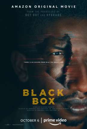 Capa para download torrent de Filme Caixa Preta