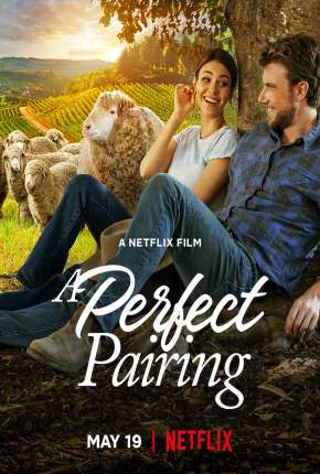 Capa para download torrent de Filme Combinação Perfeita