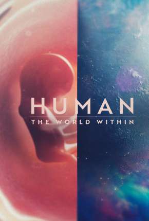 Capa para download torrent de Série Corpo Humano - Nosso Mundo Interior - 1ª Temporada Completa
