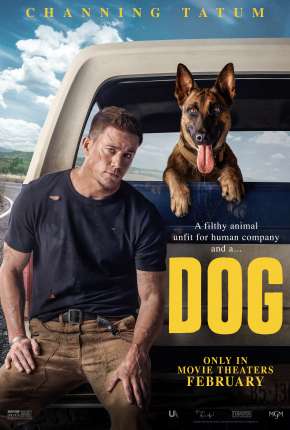 Capa do título semelhante: Dog - A Aventura de Uma Vida