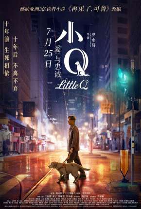 Capa para download torrent de Filme Eternos Companheiros - Xiao Q