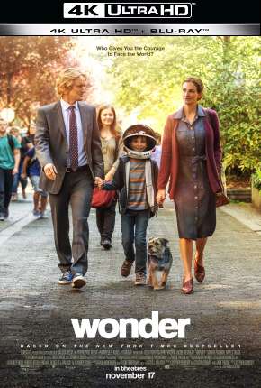 Capa para download torrent de Filme Extraordinário - 4K